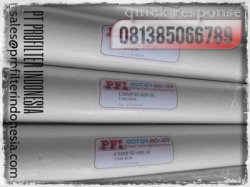 CMMFSF Filter Cartridge Indonesia  large