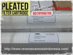 CPPL68 Pleated Cartridge Filter Indonesia  large