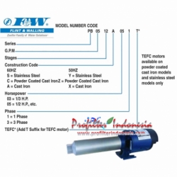 Flint  Walling RO Booster Pump pro  large