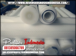 PFI Glass Fiber Pleated Filter Cartridge Indonesia  large