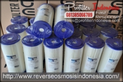 d PFI Big Blue Pleated Filter Cartridge Indonesia  large