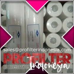 d d continental cphl cartridge filter indonesia  large