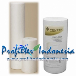 Pentek DGD 7525 Series Filter Cartridge profilterindonesia  large