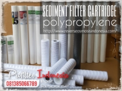 Sediment Filter Cartridge Indonesia  large